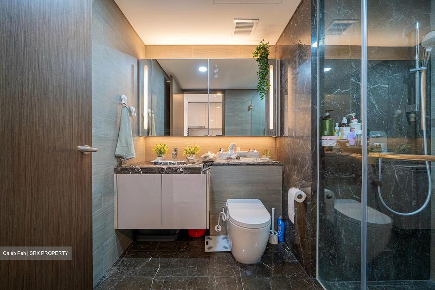 Parc Esta (D14), Apartment #516331721
